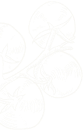 Products Page 1 1b8b9c54 desi banner obj01