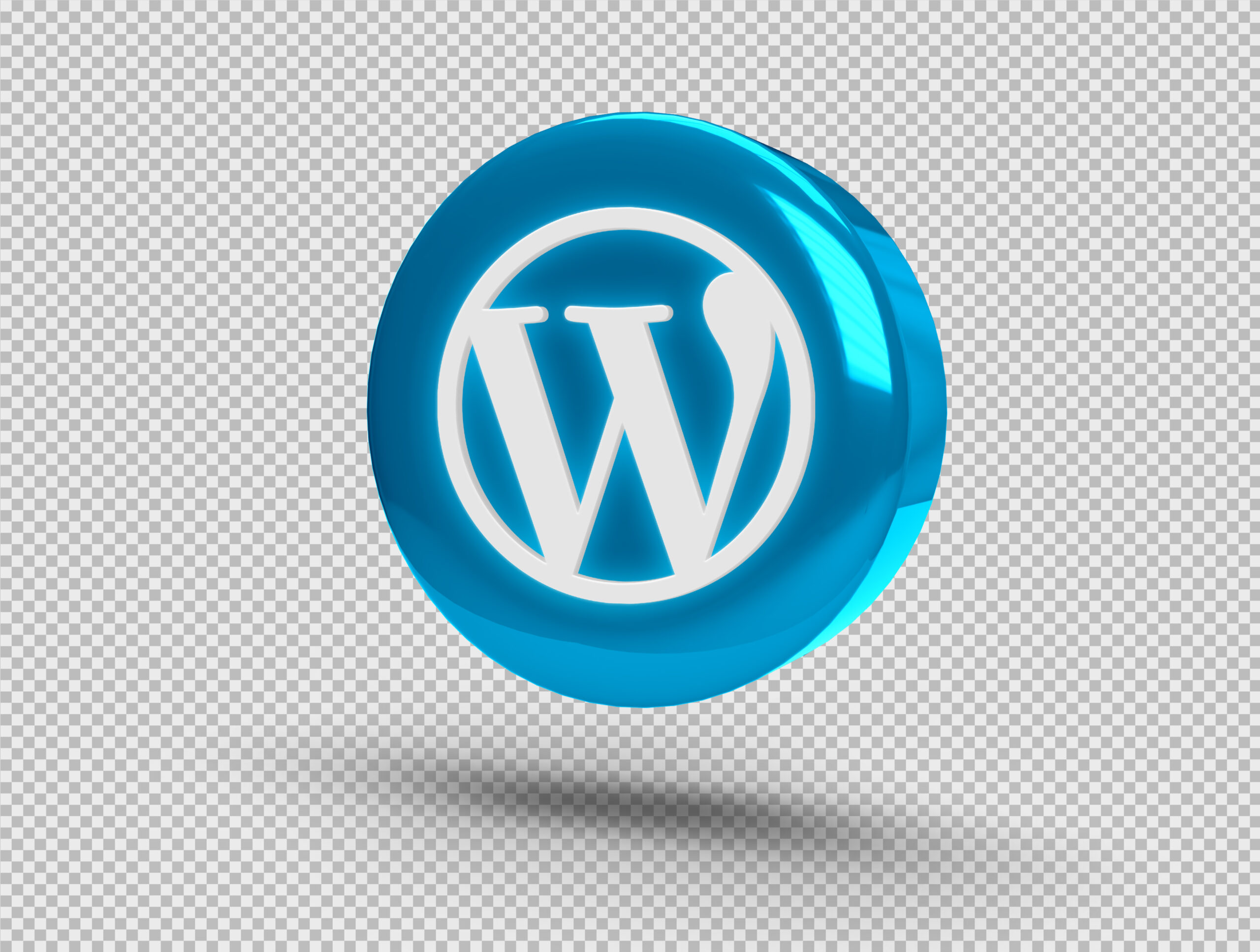 realistic shiny 3d round button with wordpress icon scaled
